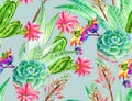 Succulent design, seamless pattern. Royalty Free Stock Photo