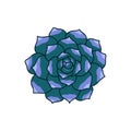 Succulent doodle icon