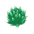 Succulent doodle icon