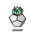 Succulent doodle print. Home plants in modern flowerpot