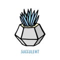 Succulent doodle print. Home plants in modern flowerpot