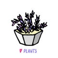 Succulent doodle print. Home plants in modern flowerpot