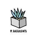 Succulent doodle print. Home plants in modern flowerpot