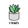 Succulent doodle print. Home plants in modern flowerpot