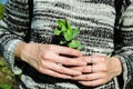 Succulent in elegant female hands.