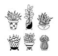 Succulent, ficus home plants, potted boho houseplants isolated clipart bundle, black and white floral decorative