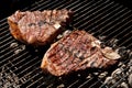 Succulent fiorentina steaks