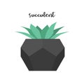 Succulent flower in trendy geometric flowerpot. Vector isolated plant