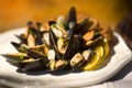 Succulent fresh mussells