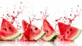 Succulent Fresh Watermelon: Capturing Splashes of Juicy Red on a White Canvas. A Selective Focus in