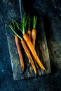 Succulent fried fresh young carrots