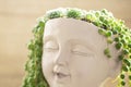 succulent garden.sustainable design aesthetics.sedums and Succulents in a pot in the girls head.groundcover flower Royalty Free Stock Photo