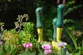 Succulent garden tools in decorative garden pot. Royalty Free Stock Photo