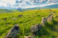 Succulent green field with stones in Armenia against the backdrop of mountains, Zorats Karer, Armenian