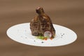 Succulent grilled large t-bone steak garnished with herbs, radish and salt, on a white plate, brown background Royalty Free Stock Photo