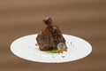 Succulent grilled large t-bone steak garnished with herbs, radish and salt, on a white plate, brown background Royalty Free Stock Photo