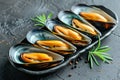 Succulent grilled mussels on elegant black platter a classic mediterranean delicacy