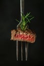 Succulent Grilled Steak on Fork with Rosemary Garnish Against Dark Background Royalty Free Stock Photo