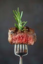 Succulent Grilled Steak on Fork with Rosemary Garnish Against Dark Background Royalty Free Stock Photo