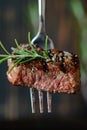 Succulent Grilled Steak on Fork with Rosemary Garnish Against Dark Background Royalty Free Stock Photo
