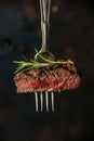 Succulent Grilled Steak on Fork with Rosemary Garnish Against Dark Background Royalty Free Stock Photo