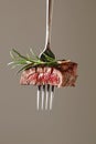 Succulent Grilled Steak on Fork with Rosemary Garnish Against Light Background Royalty Free Stock Photo