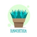 Succulent Haworthia in pot thin line icon. Modern vector illustration