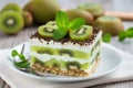 Succulent Healthy layered dessert kiwi. Generate AI