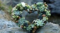 Succulent Heart Shaped Arrangement On Rock Royalty Free Stock Photo
