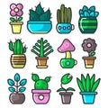 Succulent houseplants in ceramic planters and potted flowers collection