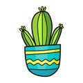Succulent illustration. Children`s drawing style