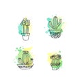 Succulent illustration. Vector cactus hand drawn set with paint splashes. Cacti and in door plants in pots.