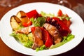 Succulent juicy portion of hot salad with grilled fillet steaks served with tomatoes, ruccola and roast vegetables on white plate Royalty Free Stock Photo