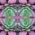 Succulent lavender plant leaves pattern seamless symmetrical wallpaper