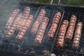 Succulent meat fried sausages fried on the grill on the embers Royalty Free Stock Photo