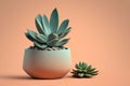 A succulent in a minimalist ceramic pot with a plant on simple color background - generative Ai illustration