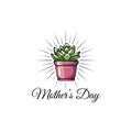 Succulent. Mothers day greeting card. Flower icon. Mom gift. Vector Royalty Free Stock Photo