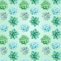 Succulent pattern on a light green background Royalty Free Stock Photo