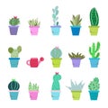 Succulent plant and cactus pots vector illustration background Royalty Free Stock Photo