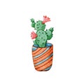 Succulent plant, greenery cactus, tropical plants, dew drops in a ceramic ethnic pot. Hand drawn watercolor illustration