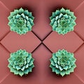 Succulent plant leaves pattern seamless symmetrical wallpaper