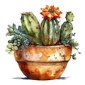 Succulent plant in a pot. Watercolor hand drawn illustration. AI Generated Royalty Free Stock Photo