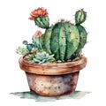 Succulent plant in a pot. Watercolor hand drawn illustration. AI Generated Royalty Free Stock Photo