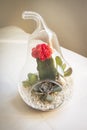 Succulent plant terrarium inside a glass pear Royalty Free Stock Photo