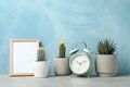 Succulent plants, clock and frame against background, space for text Royalty Free Stock Photo