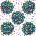 Succulent plants and colorful stones top view seamless pattern