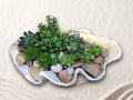 Large white shell Planter with succulent plants