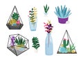 Succulent plants set