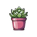 Succulent potted plant flat color icon for apps and websites. Vector