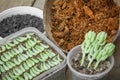 Succulent propagation